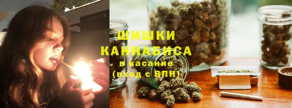 Альфа ПВП Каменка