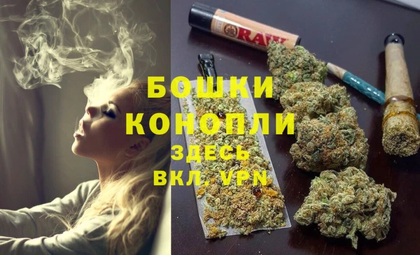 сатива Каменногорск