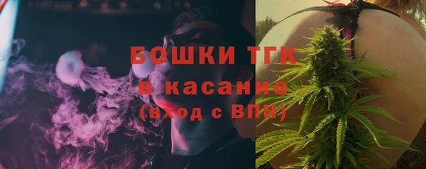 сатива Каменногорск
