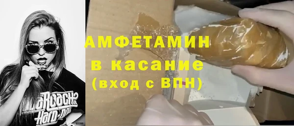 сатива Каменногорск