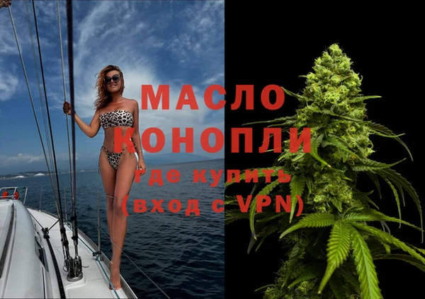 сатива Каменногорск