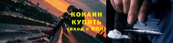 сатива Каменногорск