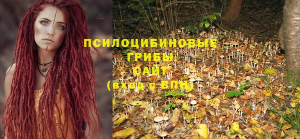 Альфа ПВП Каменка