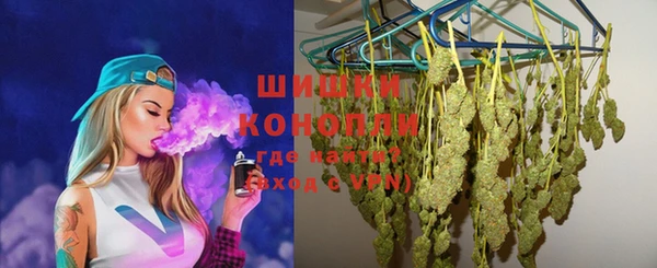 сатива Каменногорск