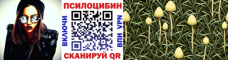 Галлюциногенные грибы GOLDEN TEACHER  блэк спрут ССЫЛКА  Кирс 