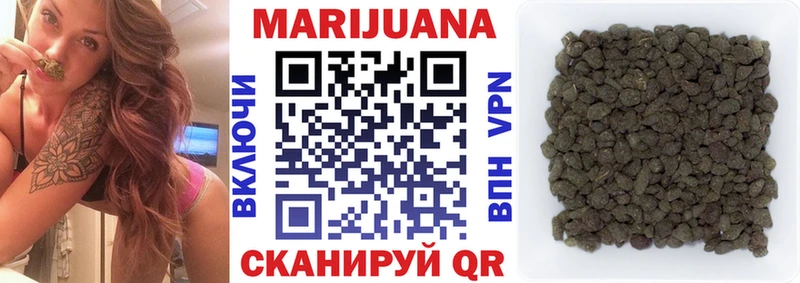 Конопля сатива  Кирс 